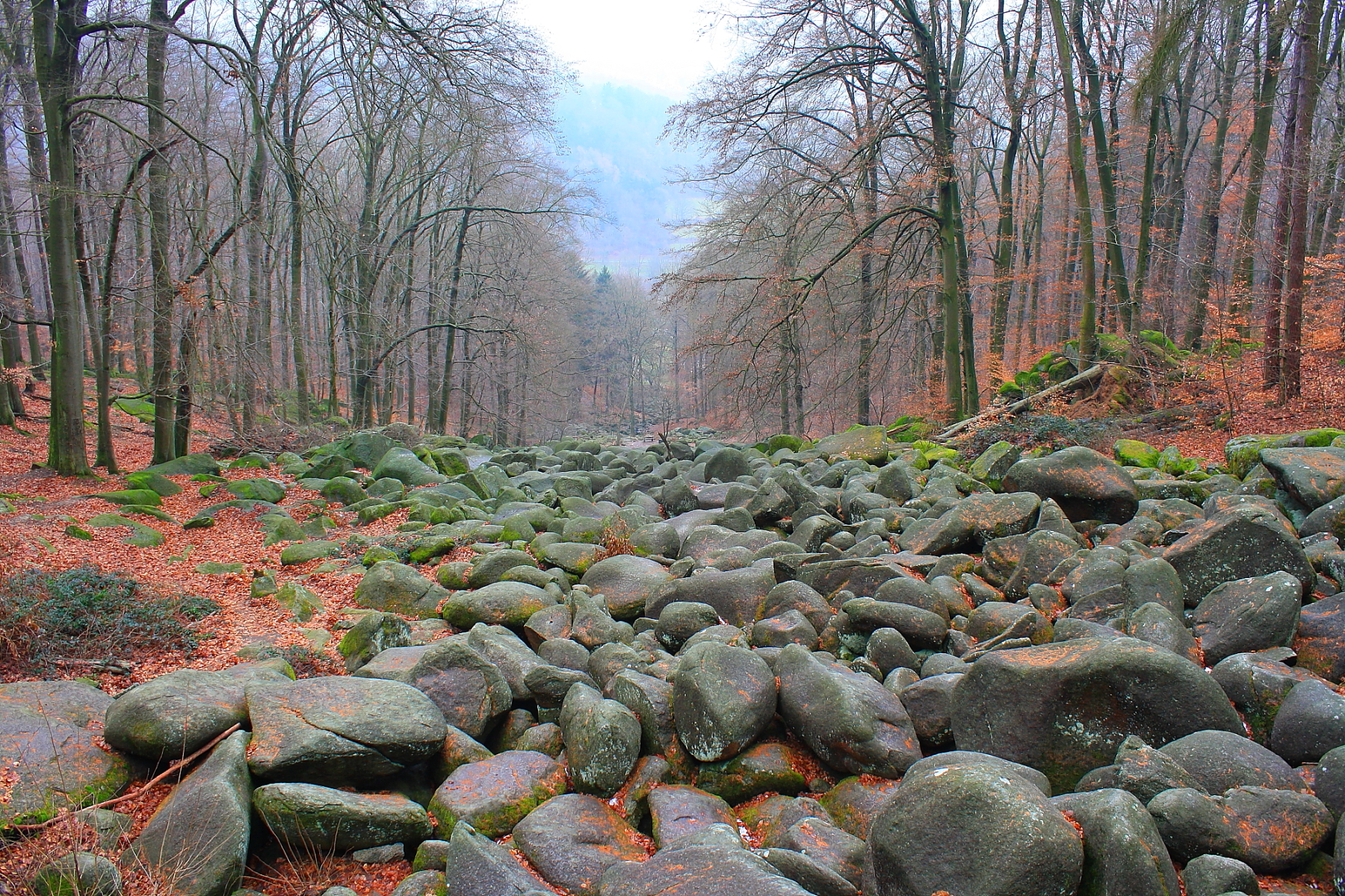 Großes Felsenmeer Image